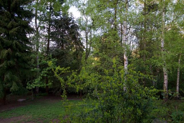 20150508201320dsc_8654_17454718480_o_01