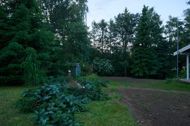 201507042131dsc_0386_19476670446_o_01